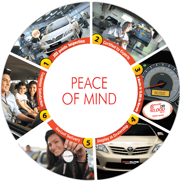 Warranty Information/Criteria